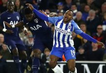 Brighton & Hove Albion 1-1 Tottenham: Lacklustre Spurs pegged back by Gross penalty