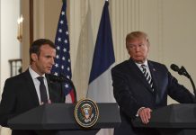 White House tree planted by Trump and Macron vanishes