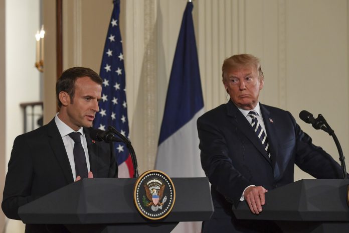 white-house-tree-planted-by-trump-and-macron-vanishes.jpg