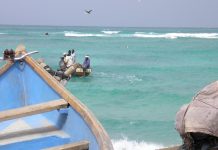 What is behind UAE's military build-up in Socotra?