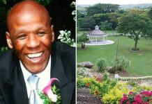 Delroy Walker: British charity fundraiser stabbed to death in Jamaica