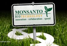 Revealed documents prove that Monsanto deliberately sold banned chemicals for years despite knowing their health risks – NaturalNews.com