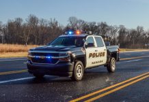 Botched attempt to capture rabid dogs outrages animal lovers