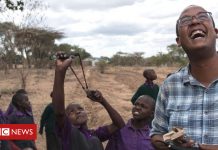 Can these seedballs solve Kenya's deforestation crisis?