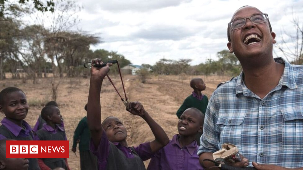 can-these-seedballs-solve-kenyas-deforestation-crisis.jpg