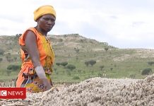 Salt-mining in Uganda: ‘We use superglue to cover our wounds’