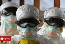 Why does Ebola keep coming back?