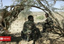 Ethiopia 'accepts peace deal' to end Eritrea border war