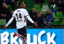 Tottenham Hotspur want Nice striker Alassane Plea to provide competition for Harry Kane