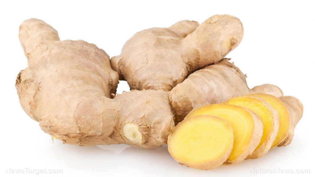 Ginger-Root-Isolated-White-Background.jpg