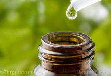 Meet the new line of herbal tinctures from the Health Ranger Store – NaturalNews.com