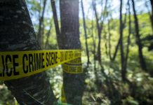 Man shot dead while camping with two young daughters