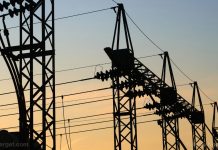 Electromagnetic radiation from power lines a "very real" threat to wildlife: Study