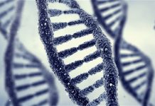 Scientists WARN: Genetic editing of humans with "CRISPR" technology may lead to generation of cancer sufferers