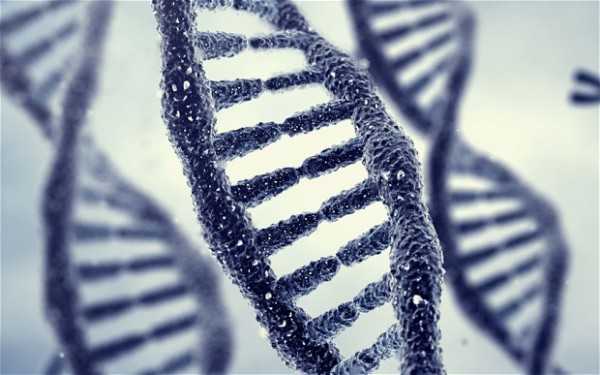 epigenetics-e1480853396368.jpg