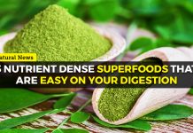 Three nutrient dense superfoods that are easy on your digestion – NaturalNews.com