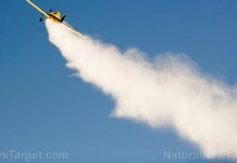 How the EPA has been lying to you about the health hazards of pesticides – NaturalNews.com