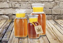 DOCUMENTED: Cannabis extract successfully treats 14-year old girl with an "incurable" form of cancer