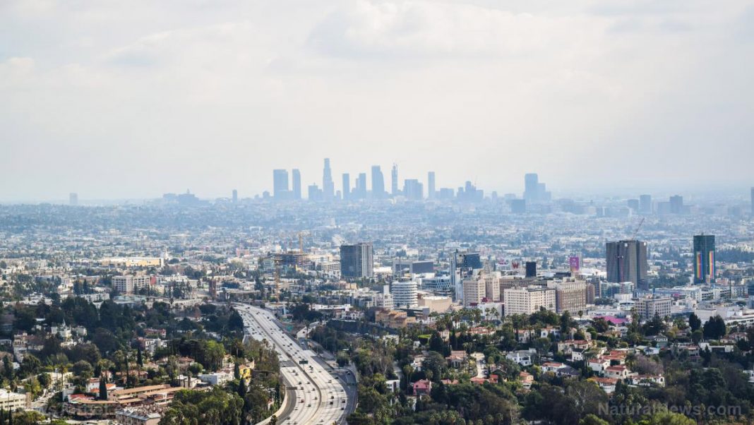 Downtown-Los-Angeles-California.jpg