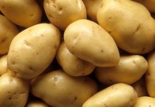England could see a massive onion, potato shortage