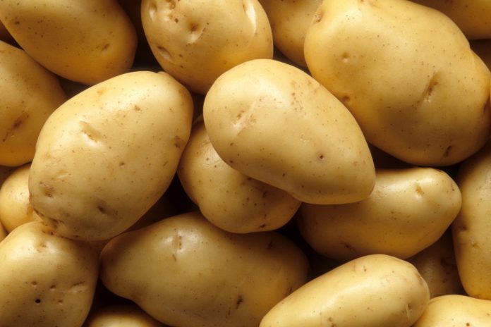 England-could-see-a-massive-onion-potato-shortage.jpg