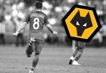 Wolverhampton Wanderers complete signing of Joao Moutinho from Monaco for £5 million deal