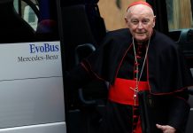 Pope accepts US cardinal's resignation after sex abuse claims