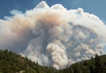 Carr fire: California blaze kills children and great-grandmother