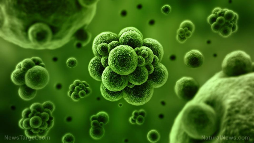 Bacteria-Science-2.jpg