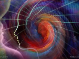 Max Igan's "Surviving the Matrix" videos now available on REAL.video – mind-blowing philosophy