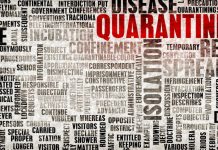 The next global pandemic could wipe out nearly a billion people, computer simulation finds