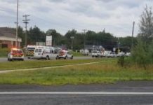 Canada shooting: Several dead in Fredericton, New Brunswick
