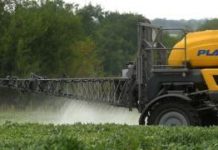 Monsanto ordered to pay $289m damages in Roundup cancer trial