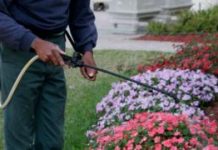 Weedkiller glyphosate ‘doesn’t cause cancer’ – Bayer