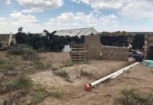 New Mexico compound boy ‘died in ritual ceremony’