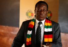 Zimbabwe ruling ZANU-PF party wins elections: Electoral body