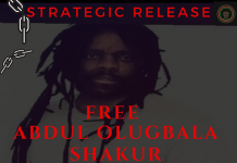 FREE ABDUL SHAKUR