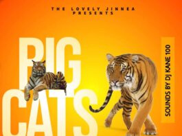 Big Cats Energy 4 is BACK! A fundraiser showcase – Brought to us by The Lovely Jinnea